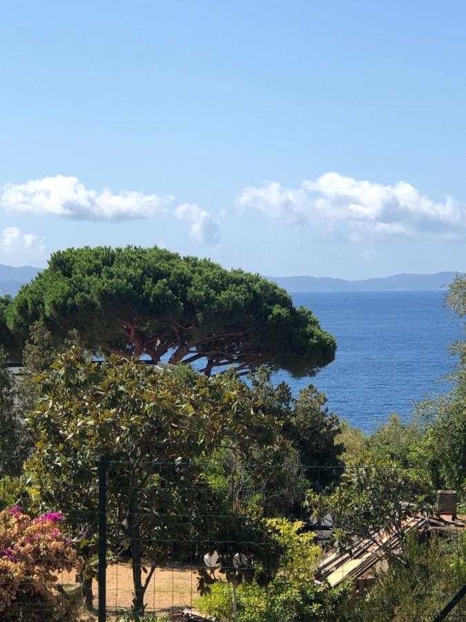 4 Couchages, Climatise A 150m De La Route Des Sanguinaires, Parking Prive Ajaccio (Corsica)