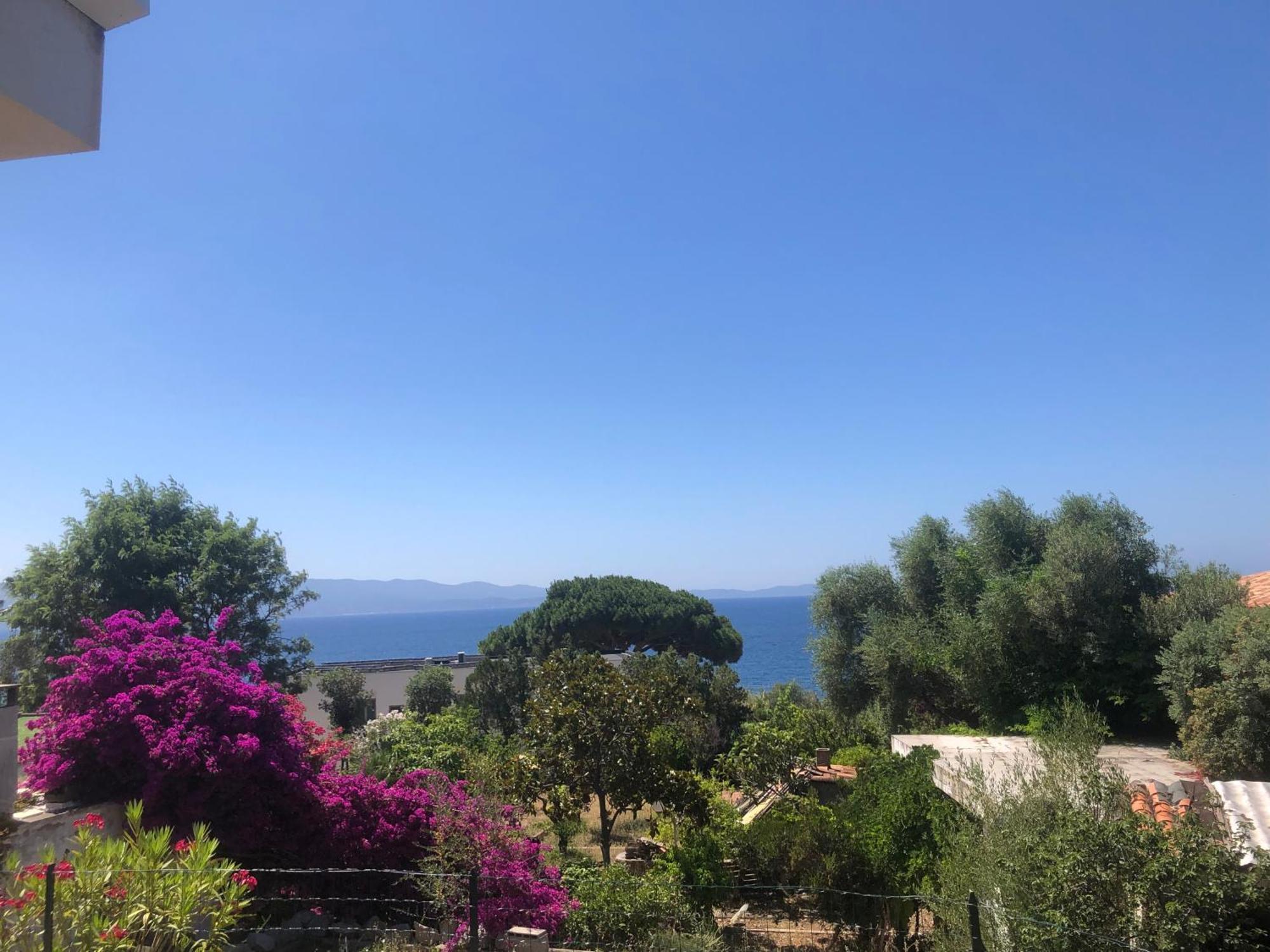 4 Couchages, Climatise A 150m De La Route Des Sanguinaires, Parking Prive Apartment