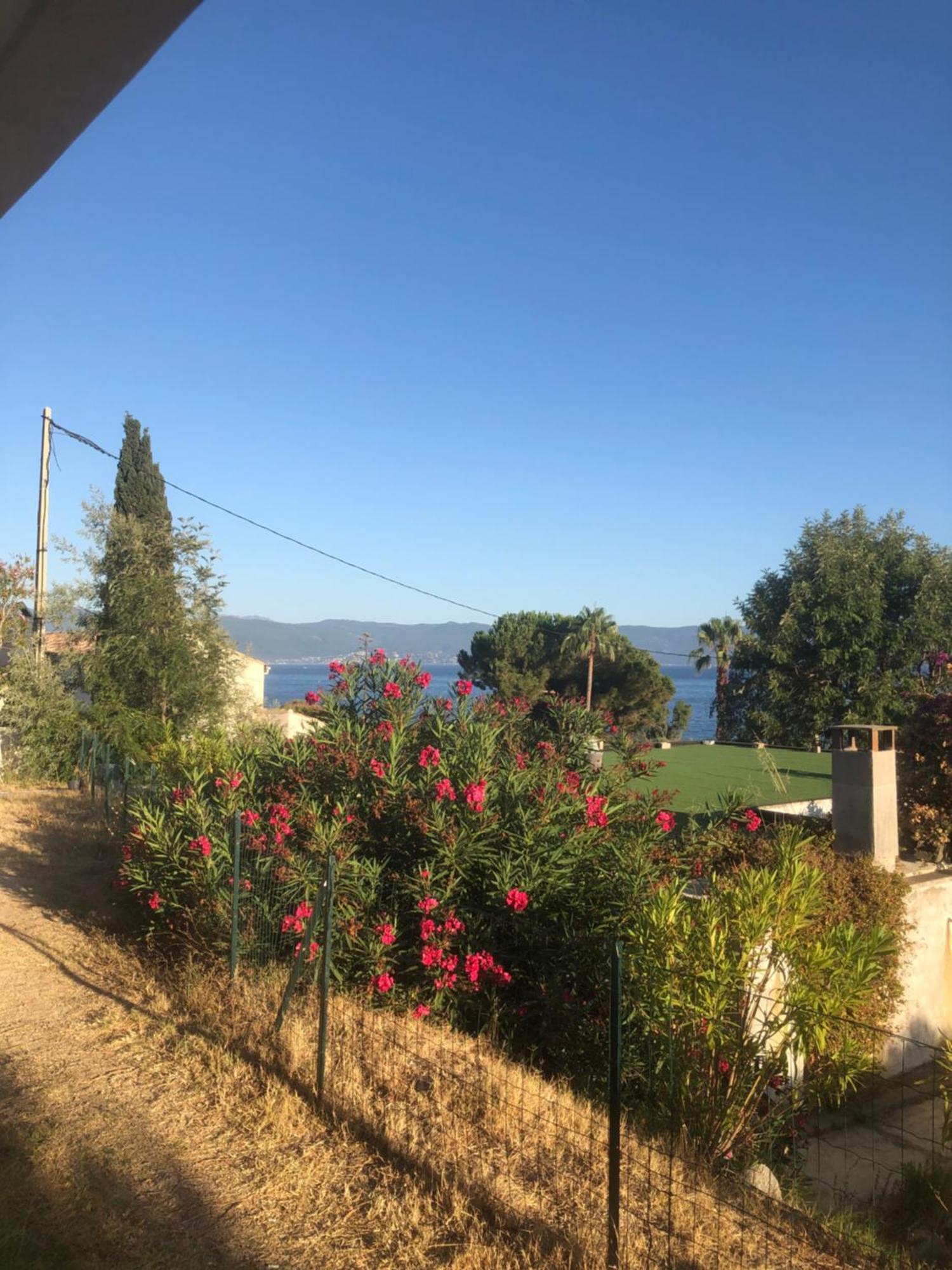 4 Couchages, Climatise A 150m De La Route Des Sanguinaires, Parking Prive *