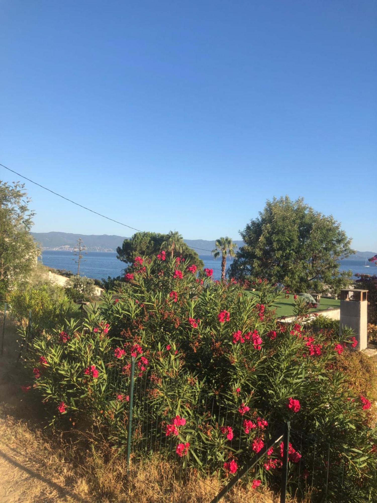 Apartment 4 Couchages, Climatise A 150m De La Route Des Sanguinaires, Parking Prive *