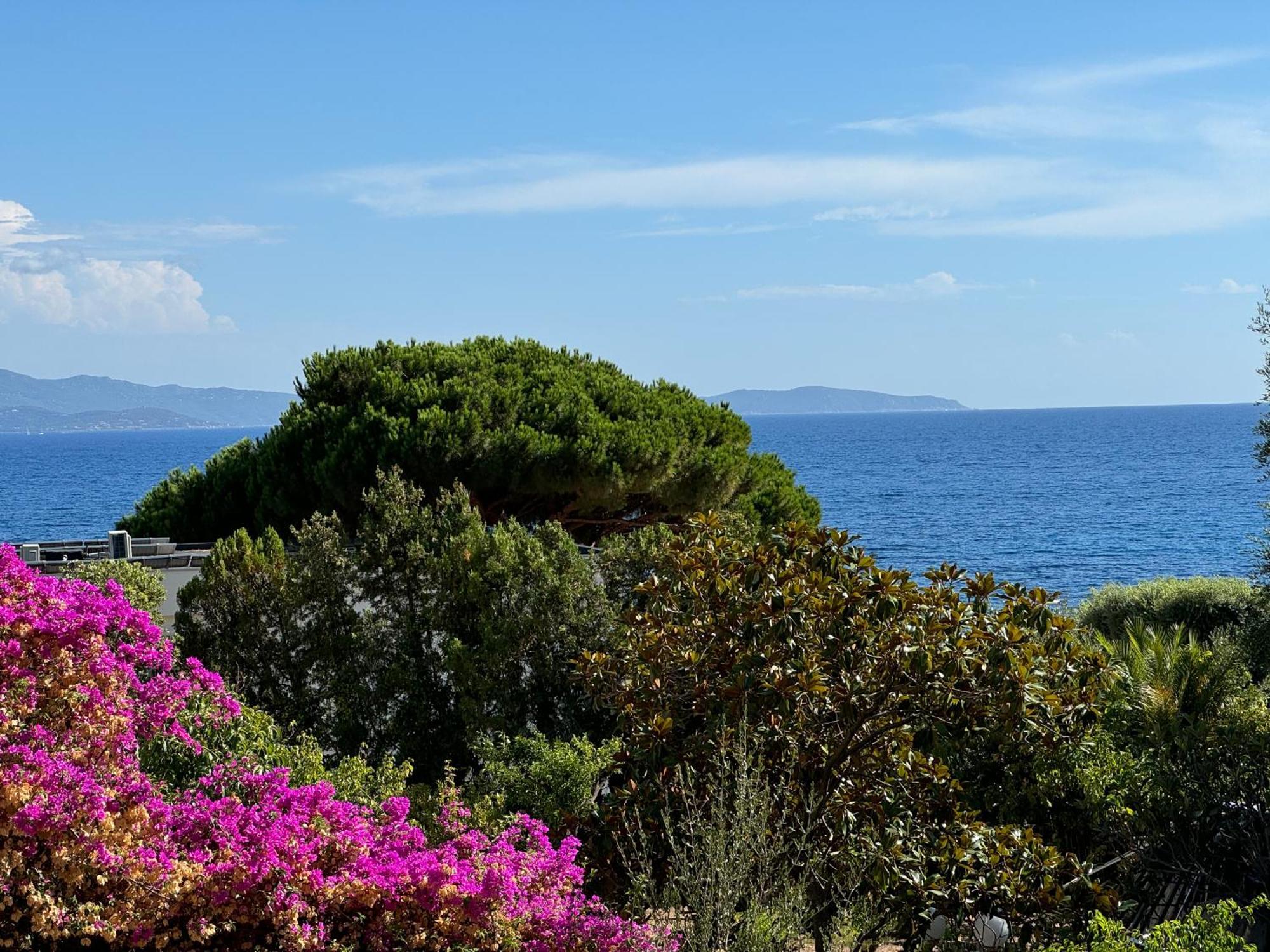 4 Couchages, Climatise A 150m De La Route Des Sanguinaires, Parking Prive Apartment