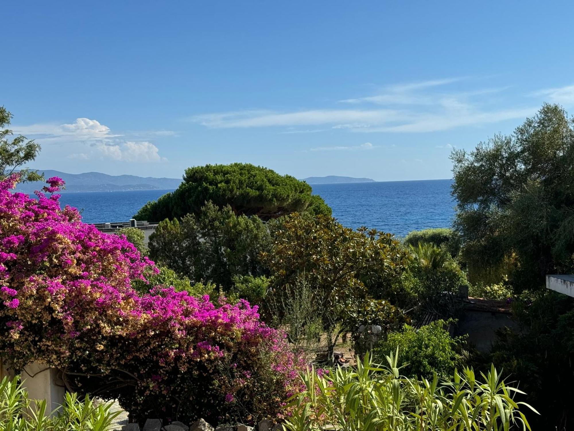 4 Couchages, Climatise A 150m De La Route Des Sanguinaires, Parking Prive Apartment